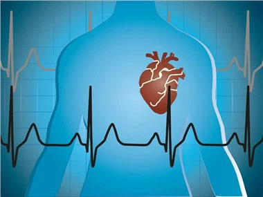 Гострий інфаркт міокарда/серцева недостатність. Модель хвороби нелюдських приматів