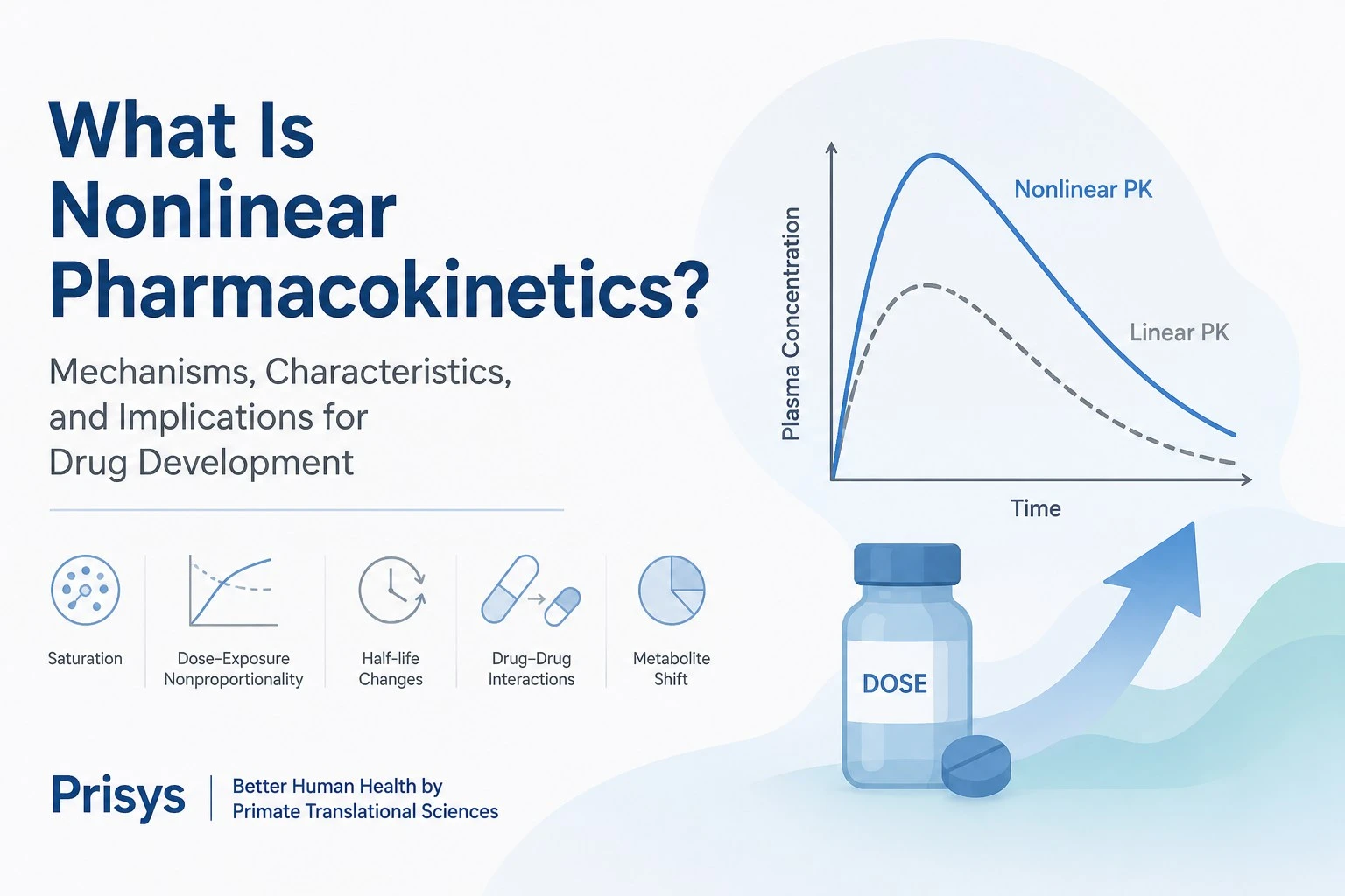 Nonlinear pharmacokinetics and drug development